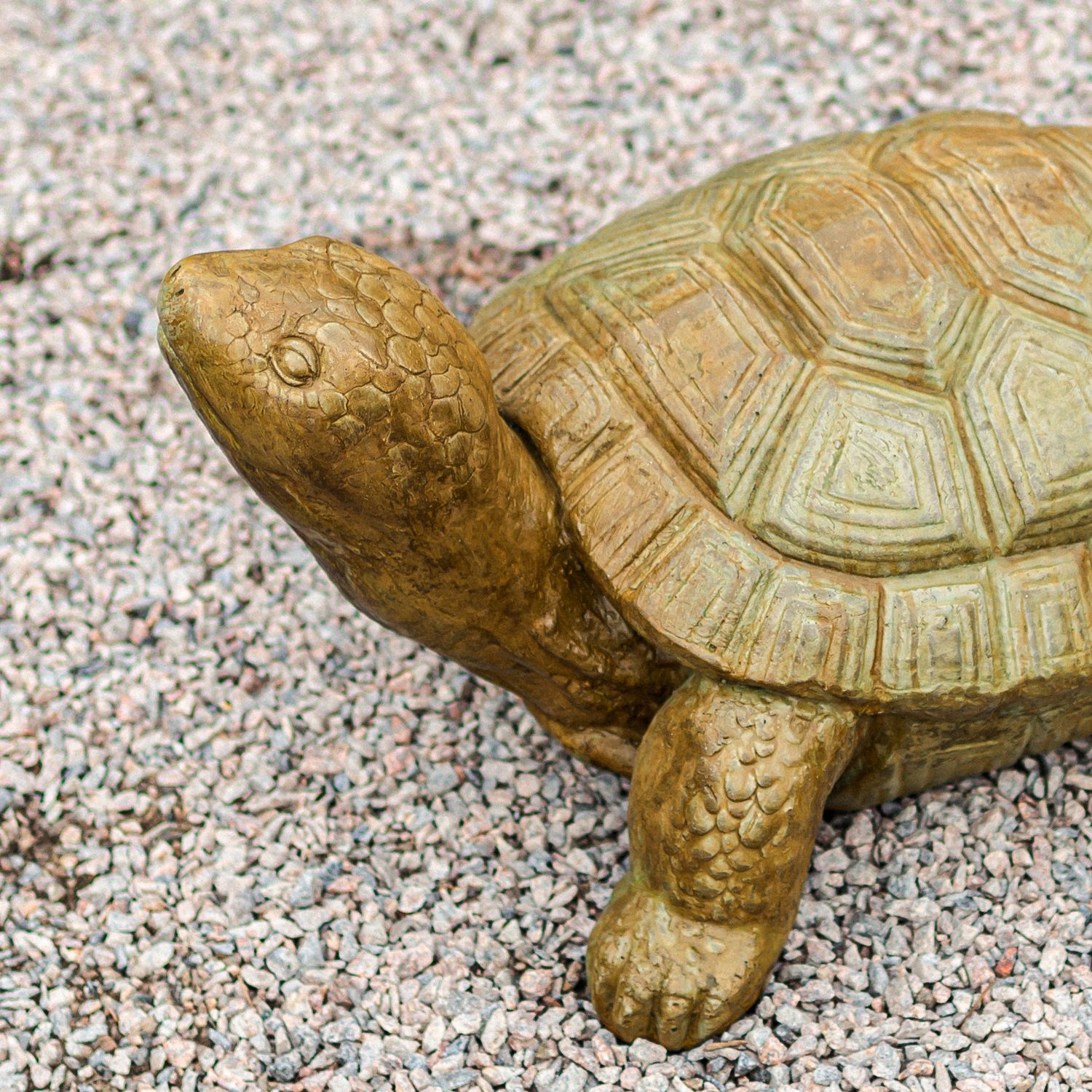 61016 Ex. Lg. Turtle