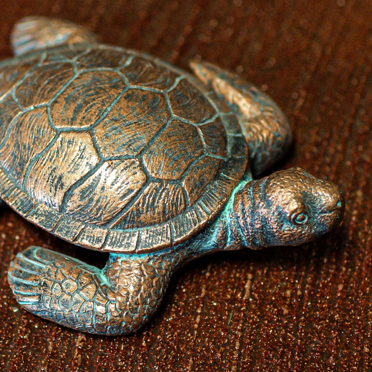 61018 Md. Sea Turtle