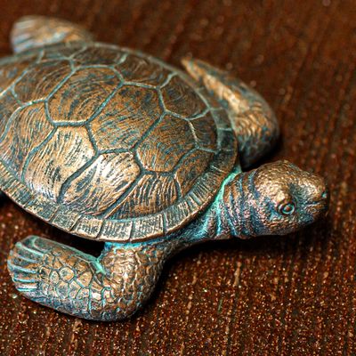 61018 Md. Sea Turtle