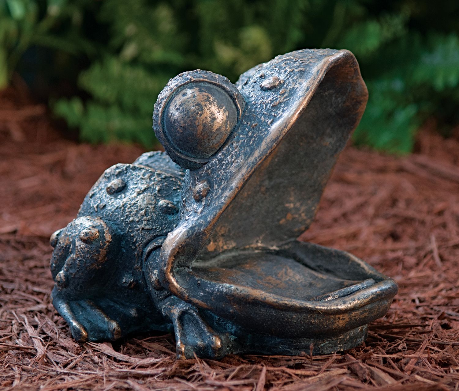 62005 Big Mouth Frog