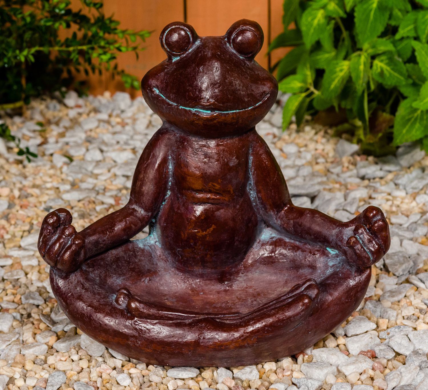 62006 Zen Frog