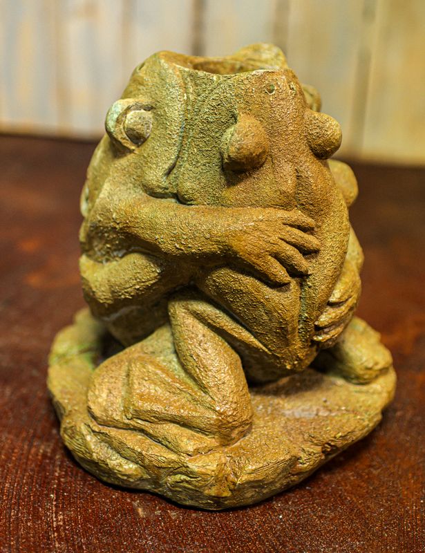 62010 3 Hugging Frogs