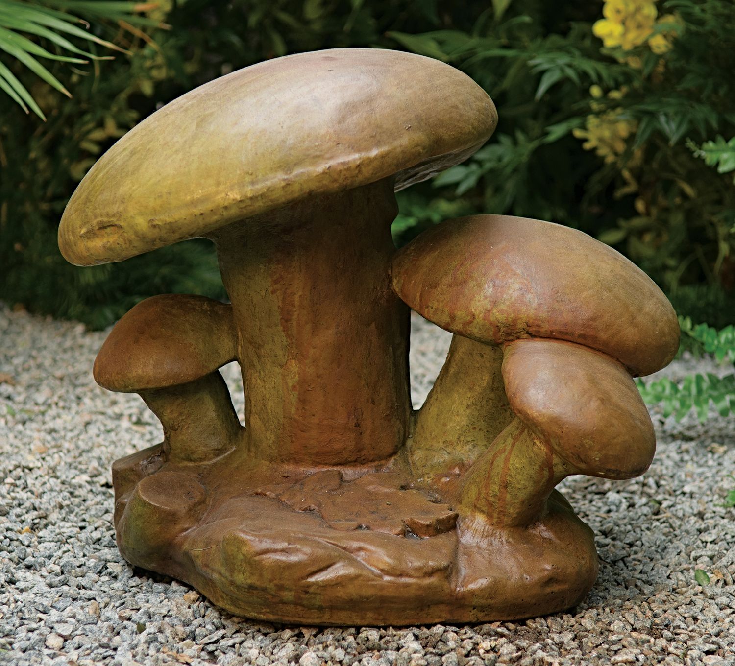 63000 Mushroom Family