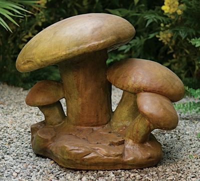 63000 Mushroom Family