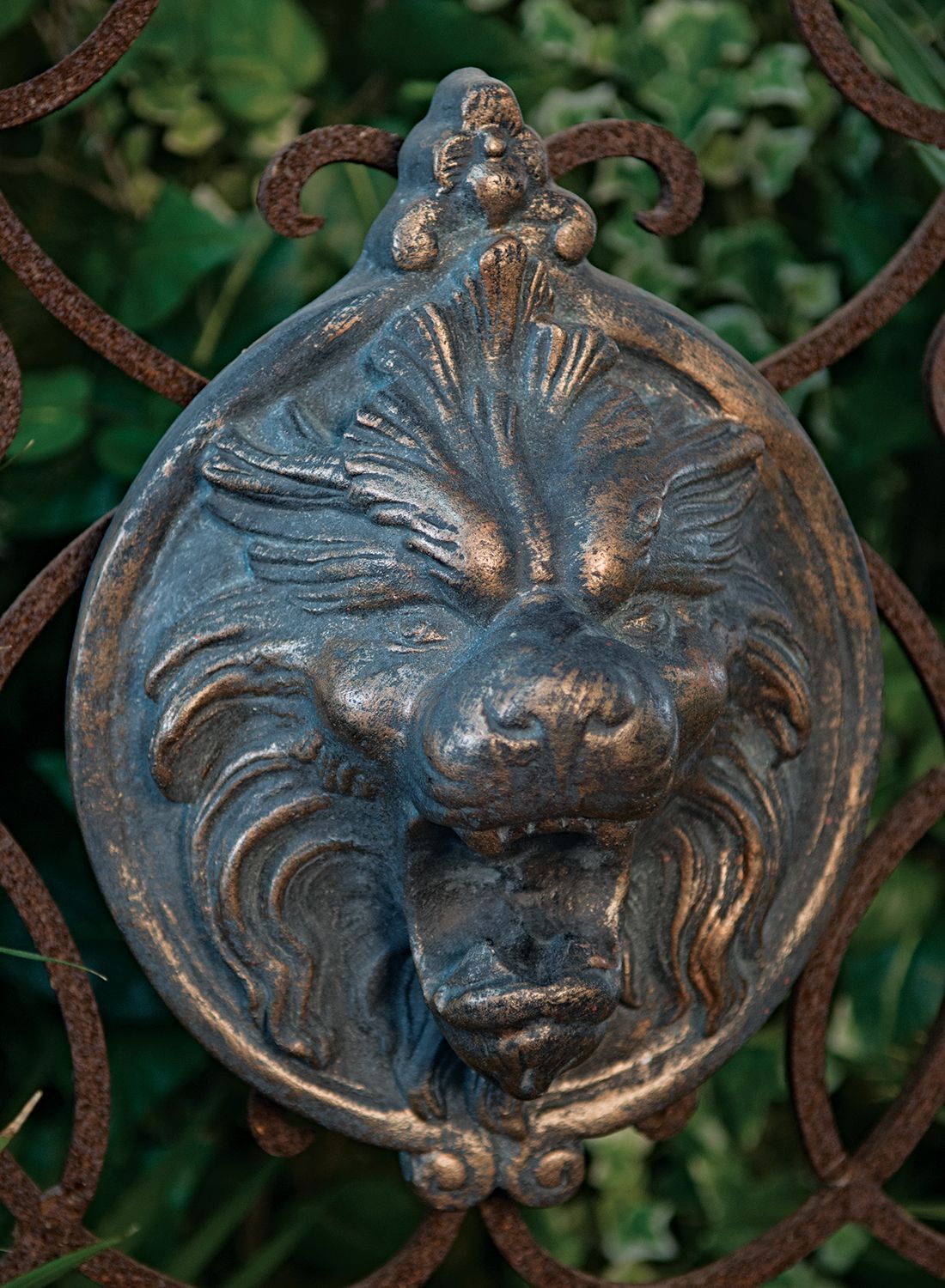 66024 Lion Shield Plaque