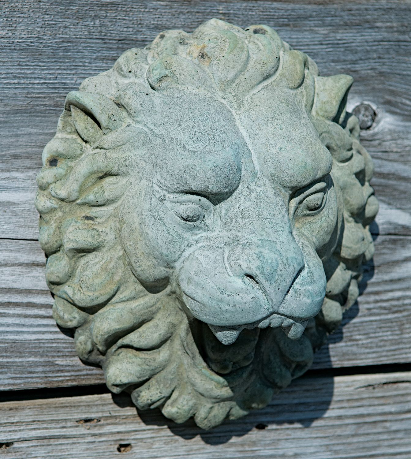 66031 Roaring Lion Plaque