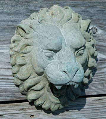 66031 Roaring Lion Plaque