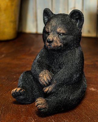 46039 Bear Cub Sitting