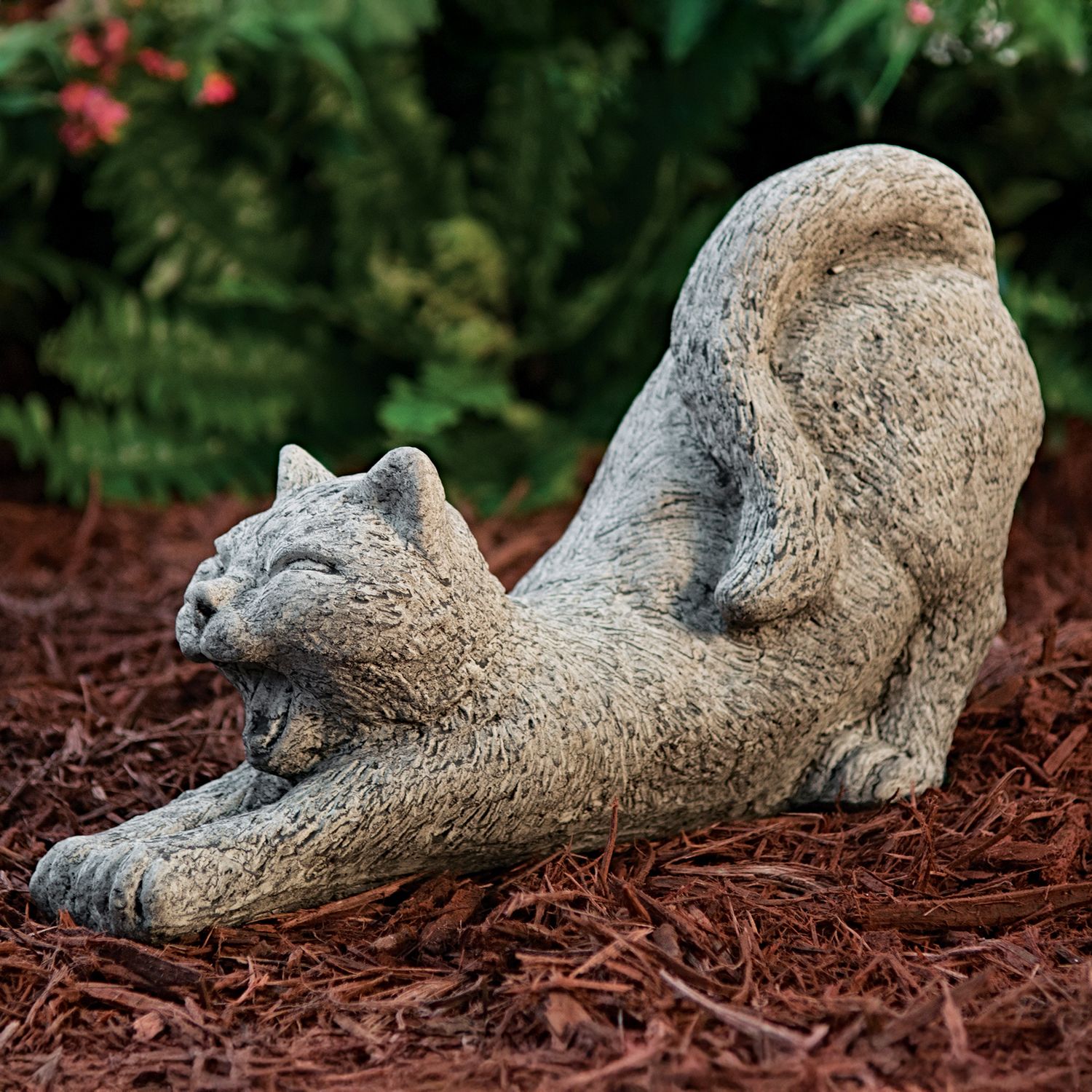 53004 Stretching Cat