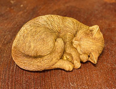 53011 Curled Up Cat