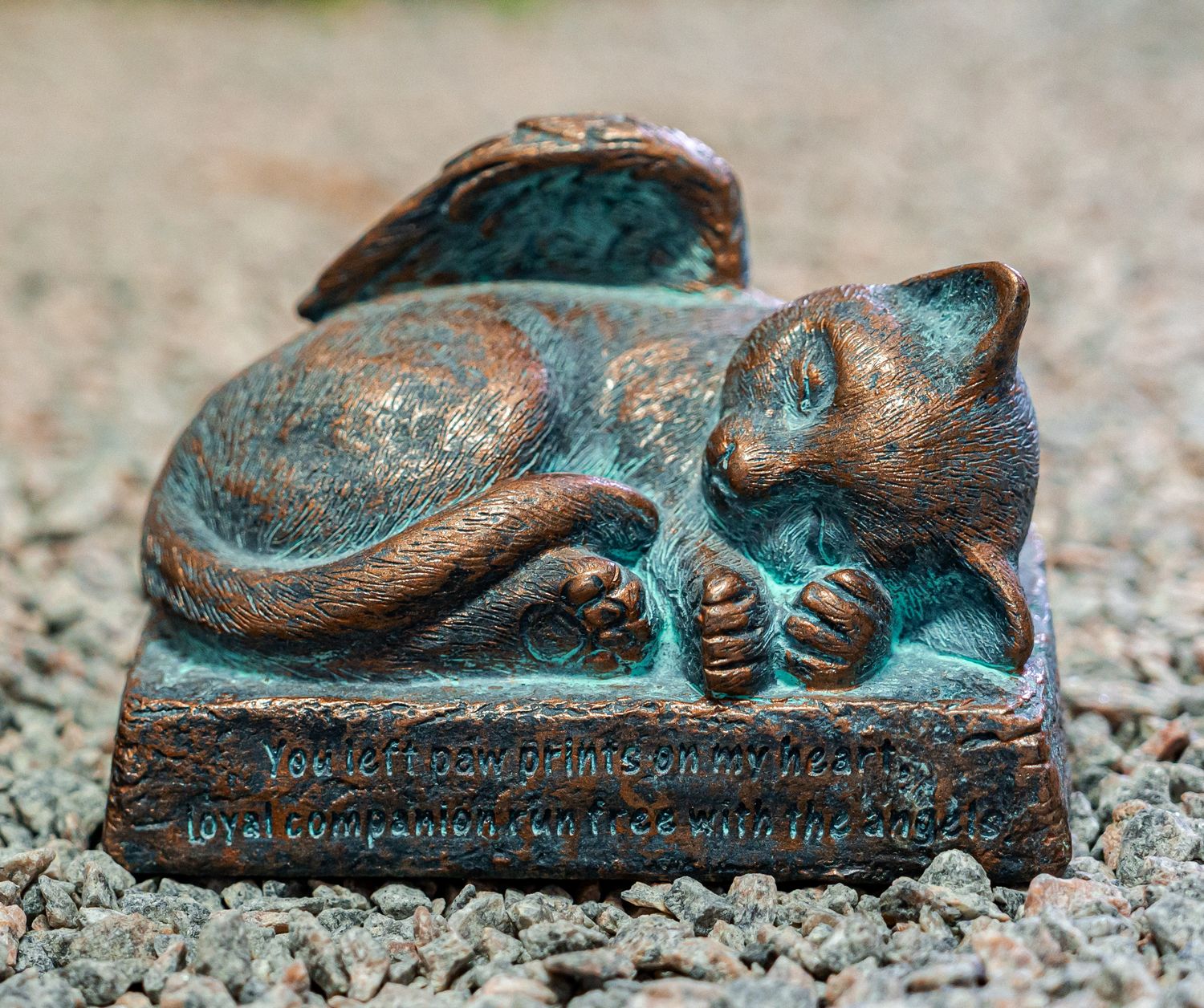 53015 Sm. Cat w/ Wings