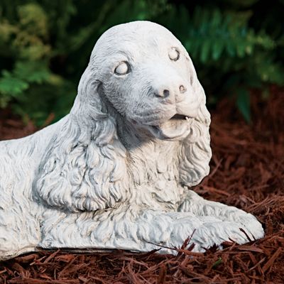 55010 Cocker Spaniel Down