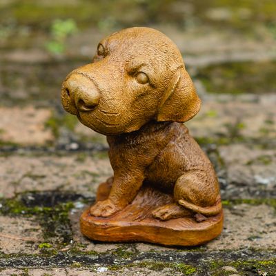 55017 Big Head Pup A