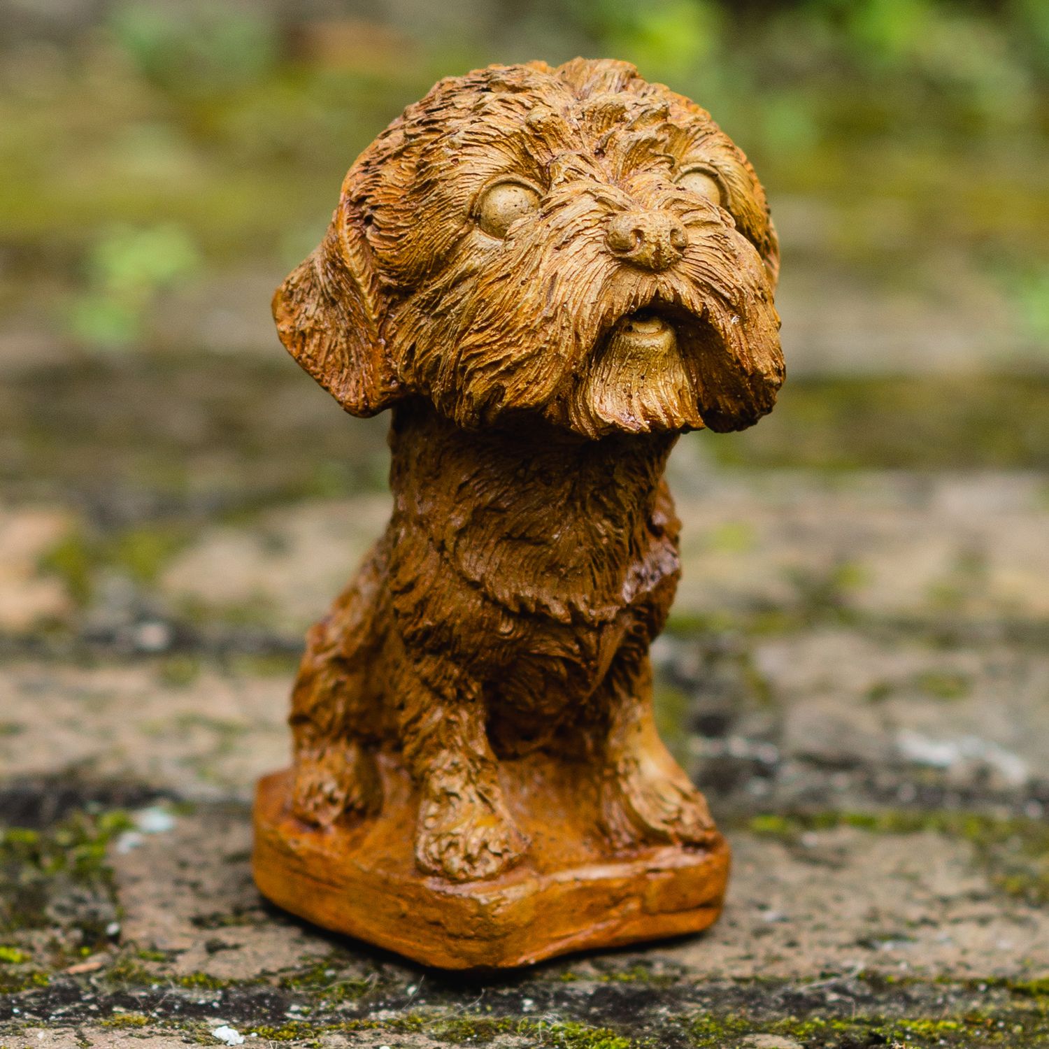 55018 Big Head Pup B