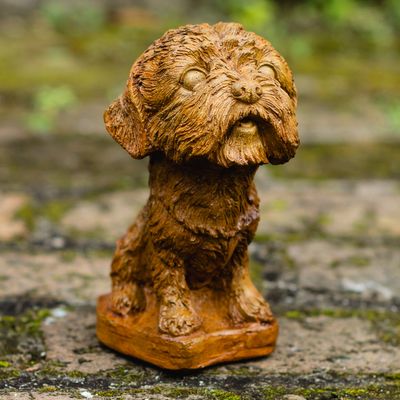 55018 Big Head Pup B