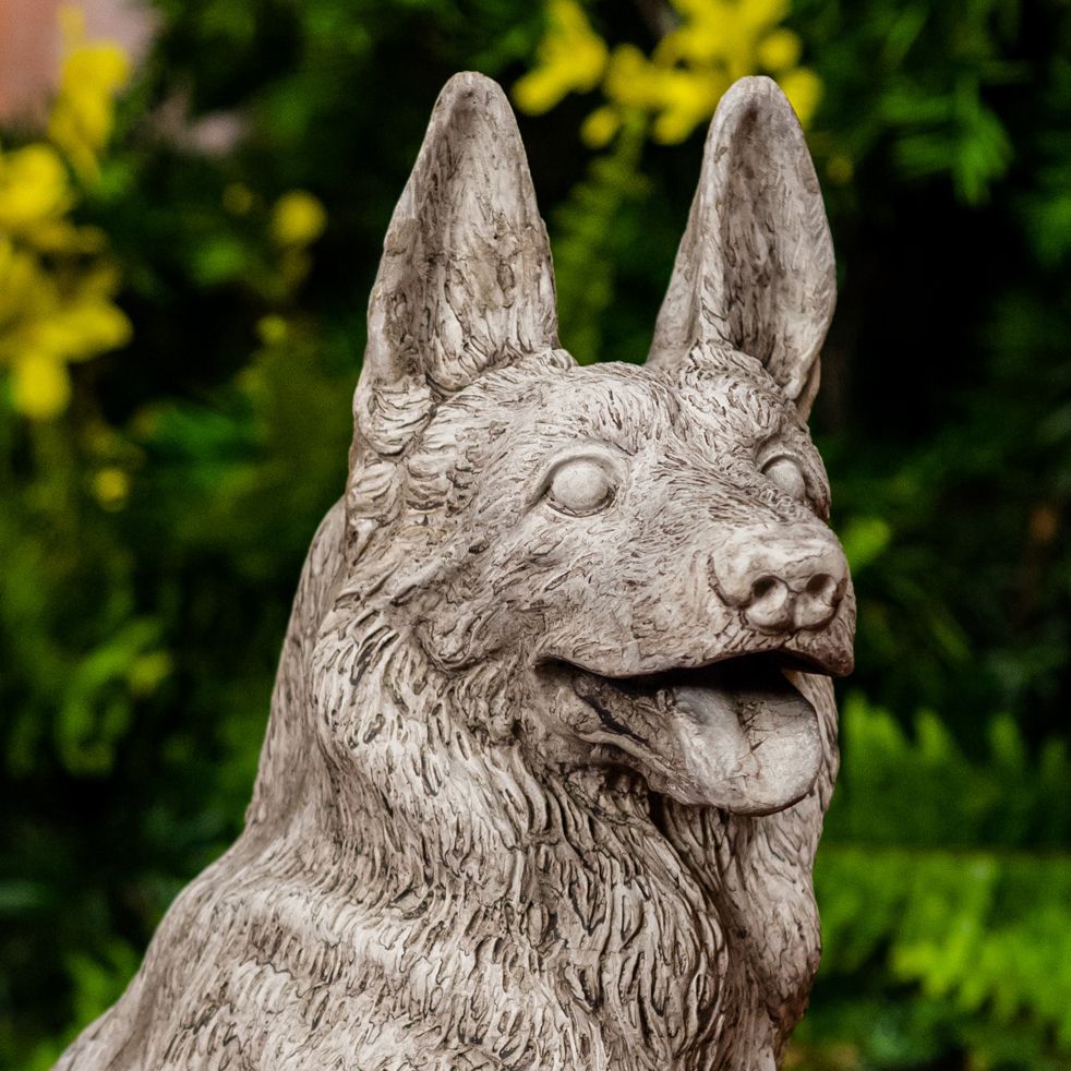 55013 Sm. German Shepard