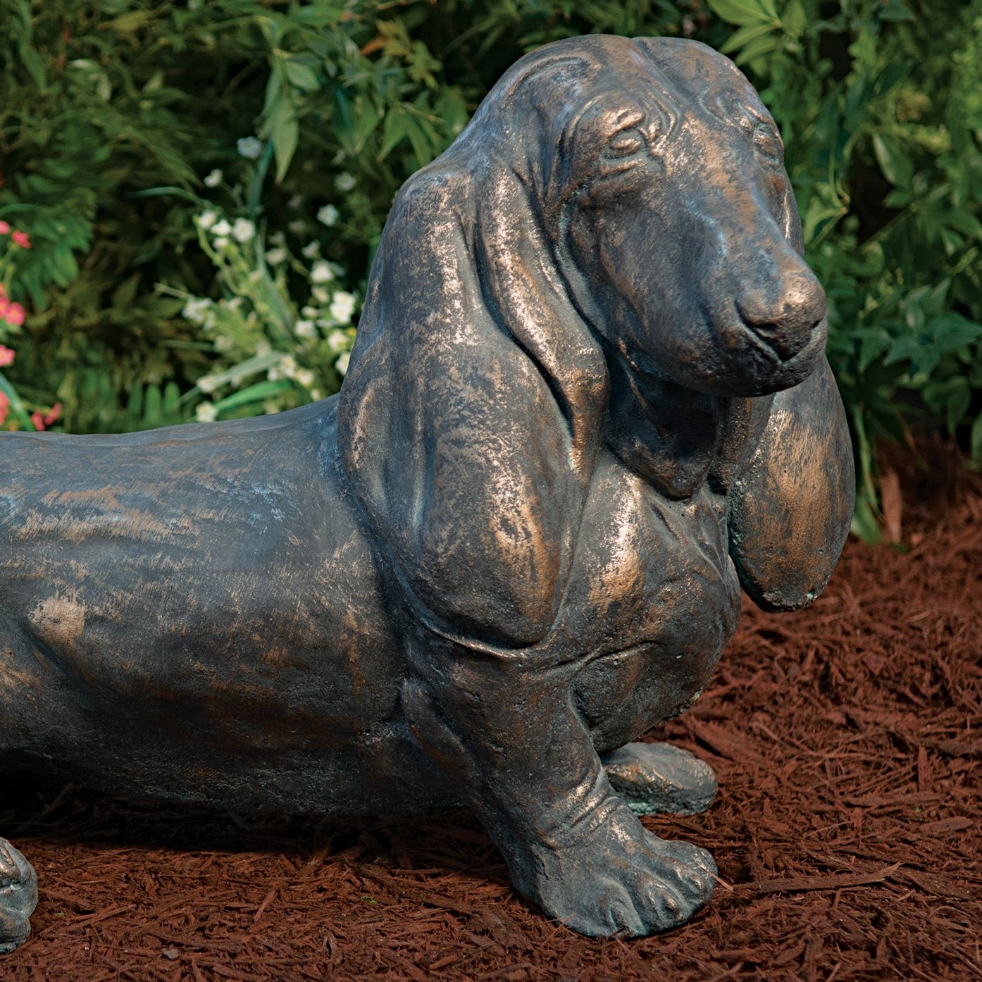 55011 Long Bassett Hound