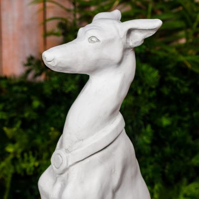 55015 Sitting Grey Hound