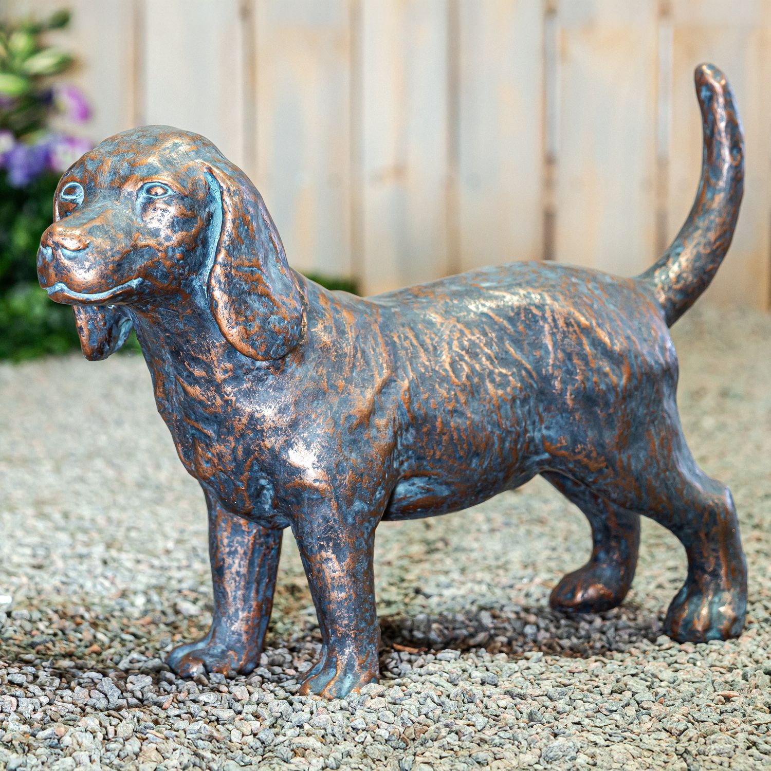 55021 Beagle Standing