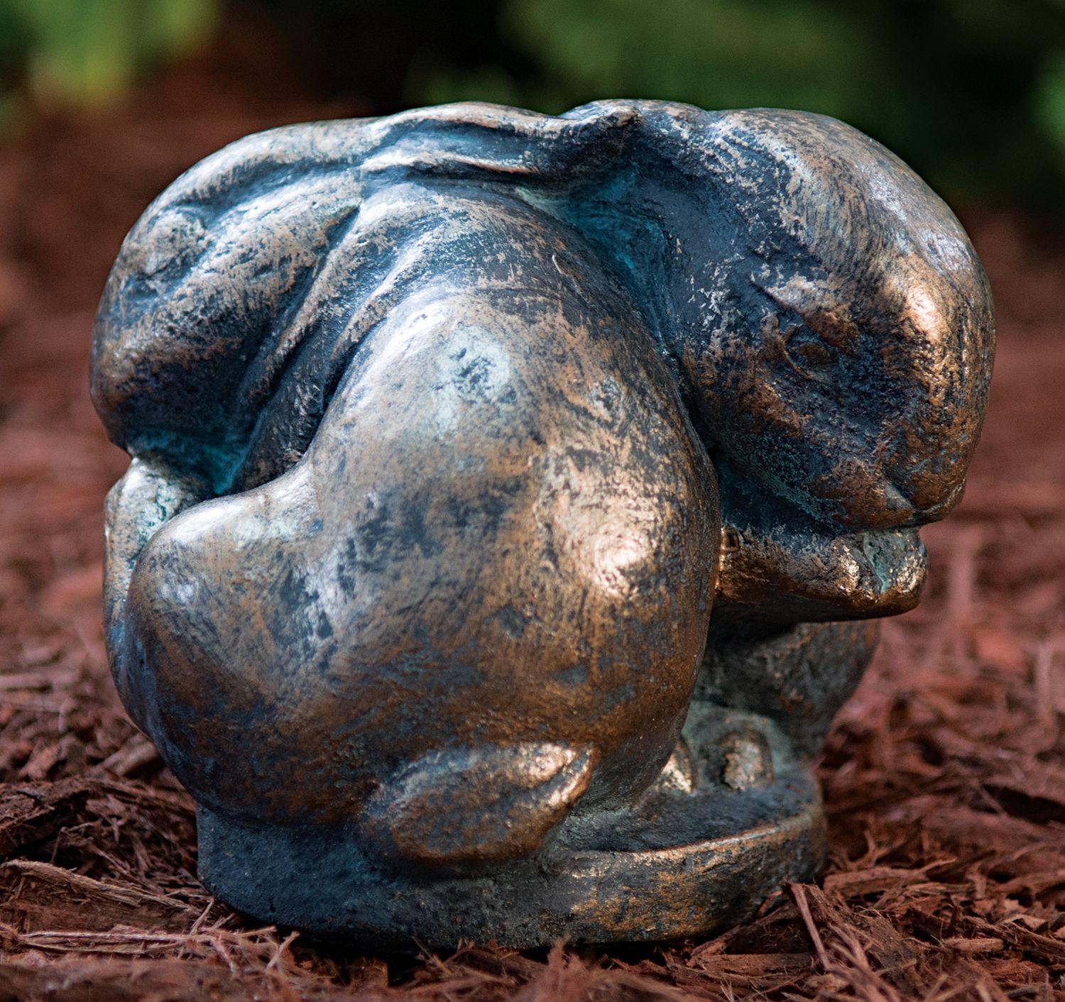 51000 Cuddling Bunnies