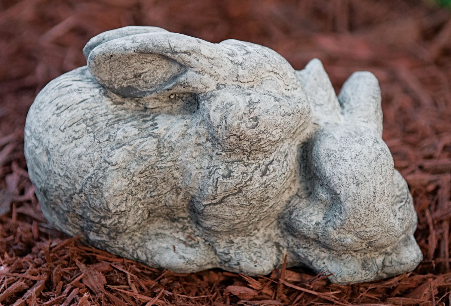 51018 Double Bunnies