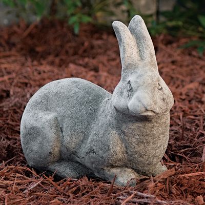 51023 English Hare Down