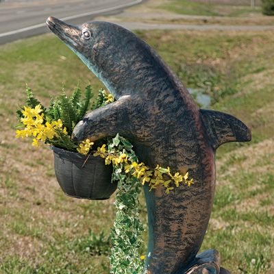 57504 Dolphin Holder