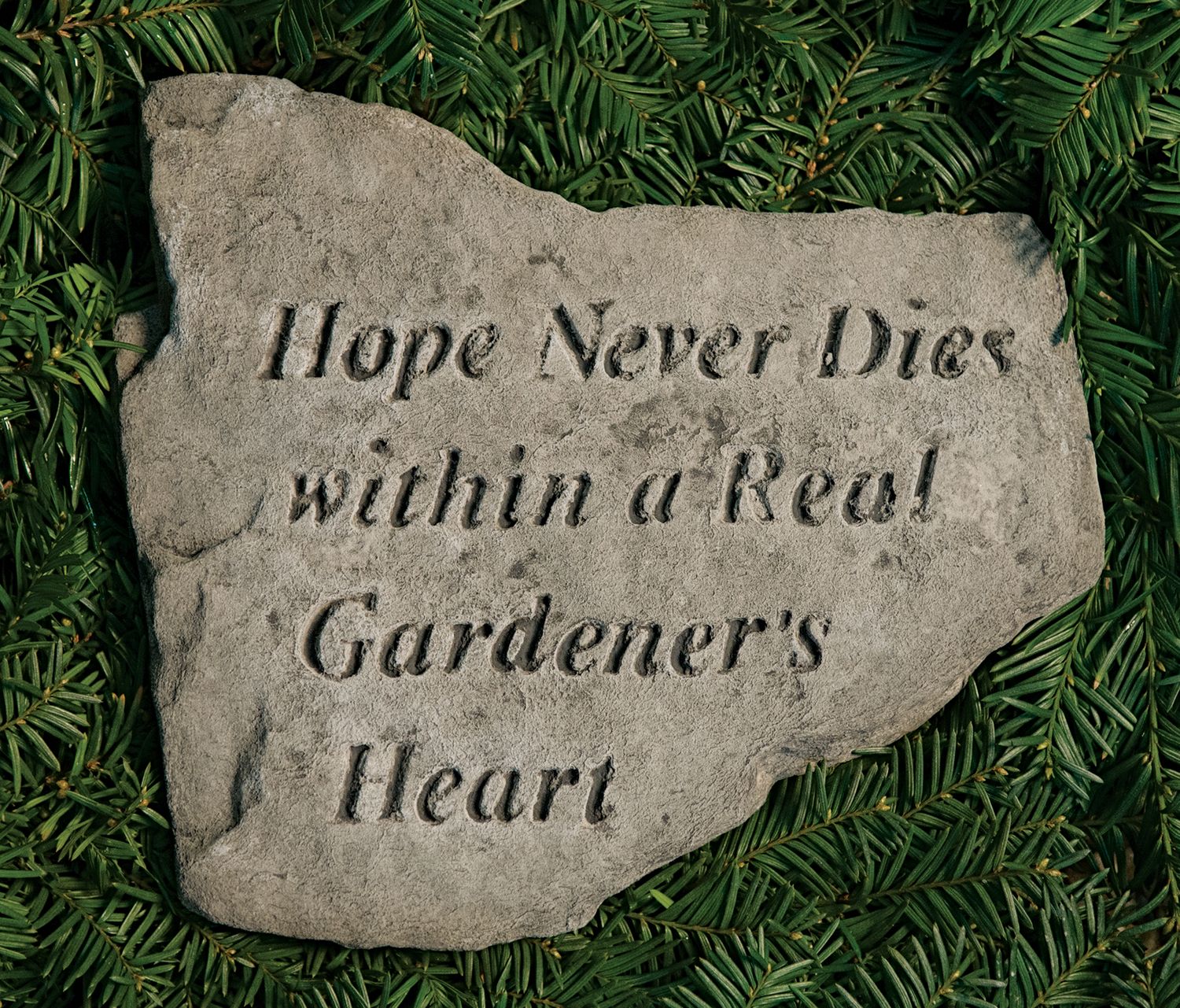 77000 Hope Never Dies ...