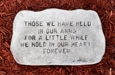 78011 Those We Have Held ...