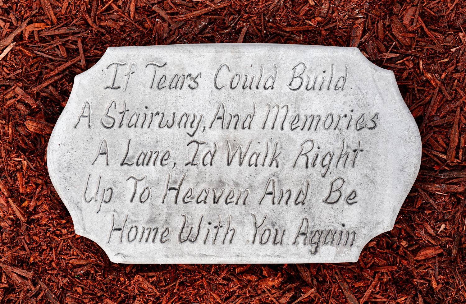 78009 If Tears Could Build ...