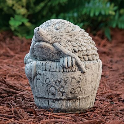 46009 Sm. Hedgehog in Pot