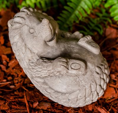 46022 Hedgehog on Back