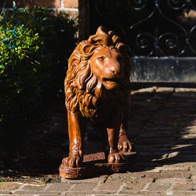 58505 Roaring Lion - Left