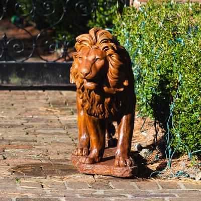 58506 Roaring Lion - Right