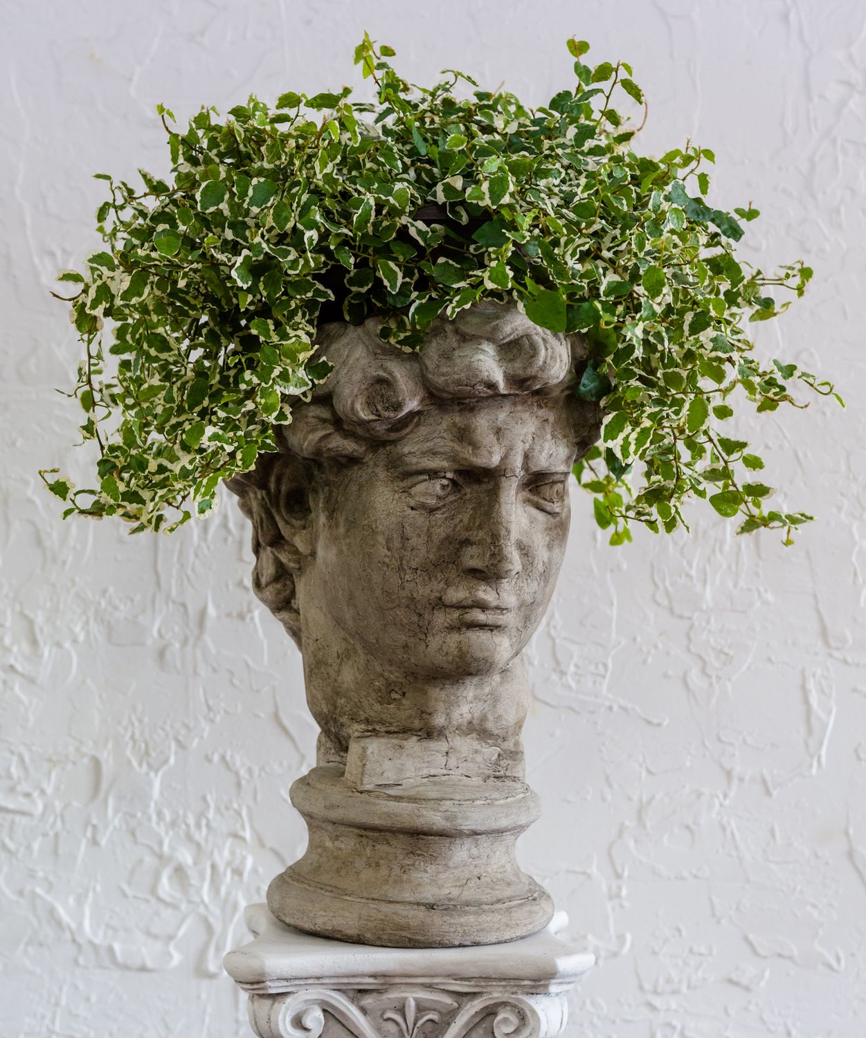 72000 David Head Planter