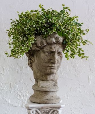 72000 David Head Planter