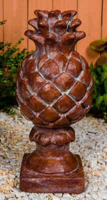 42007 Ex. Lg. Pineapple