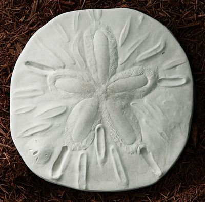 75001 Sand Dollar Stepping Stone