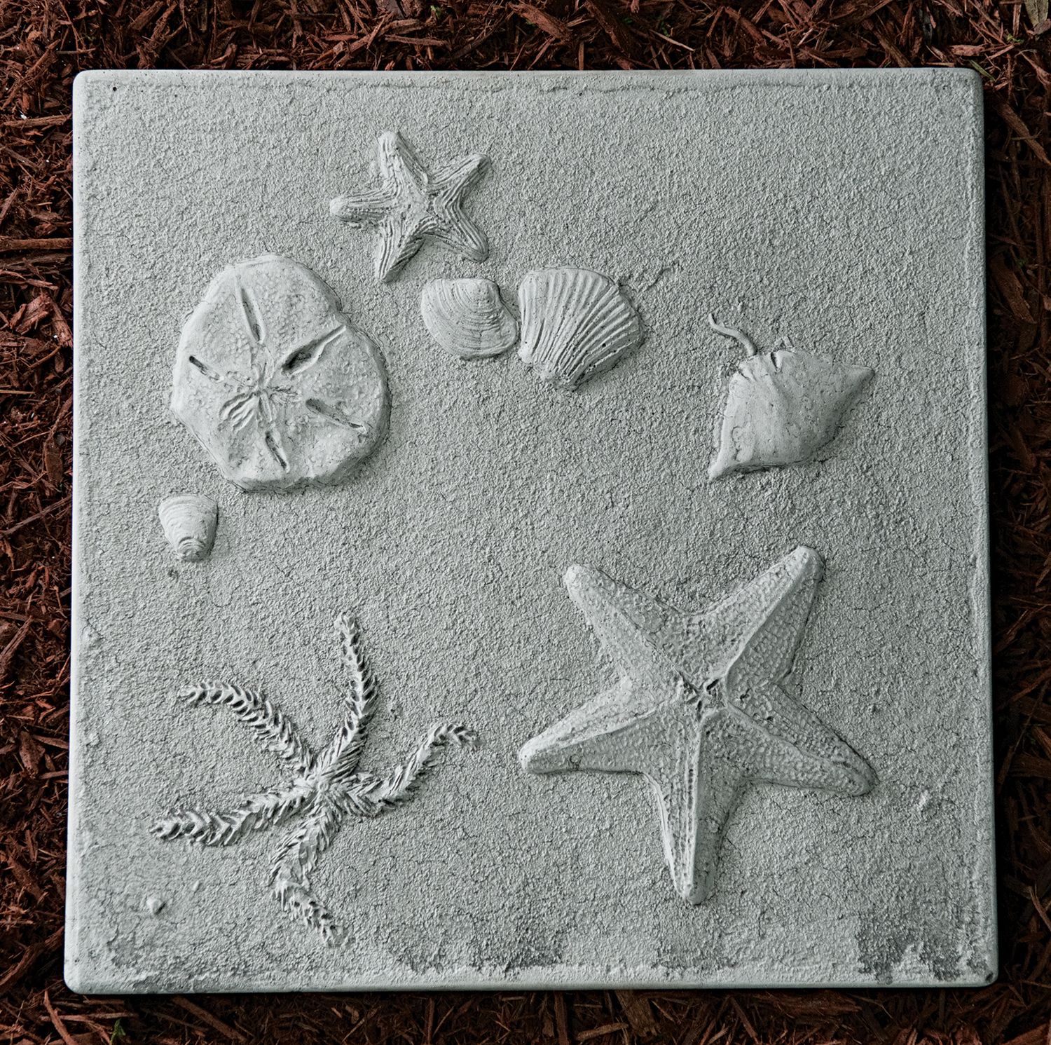 75021 Ocean Bottom Stepping Stone