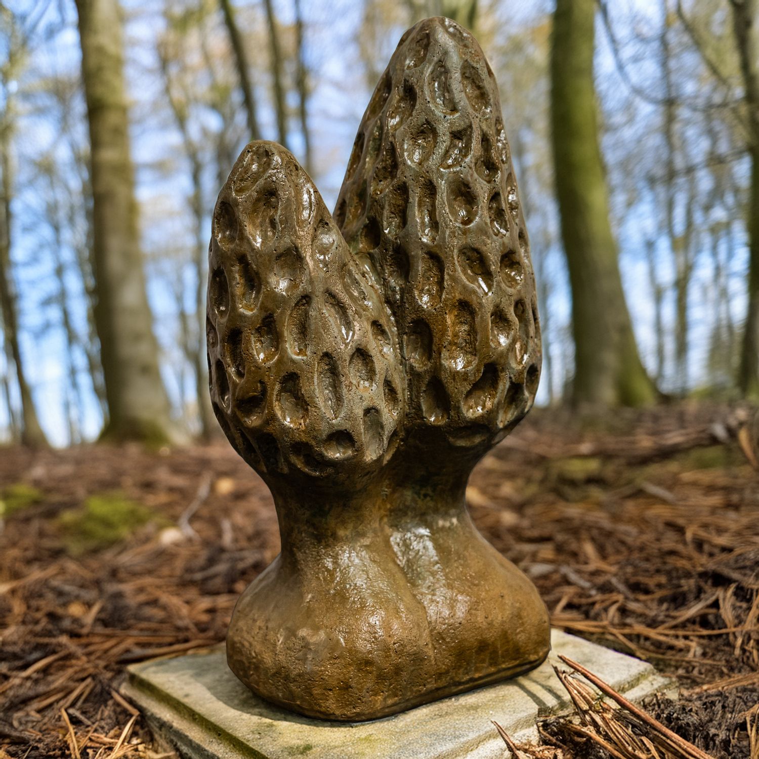 63007 Morel Mushroom