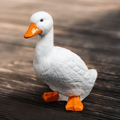 48058 Standing Duck