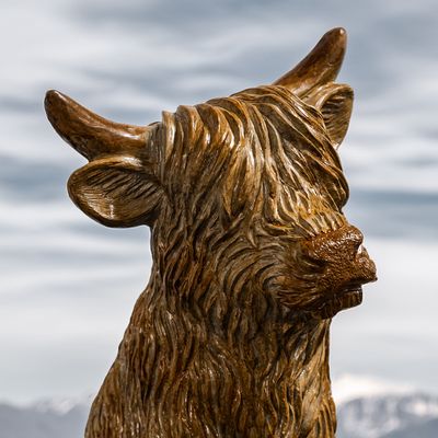 46054 Sitting Highland Cow