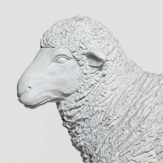 46057 Standing Sheep