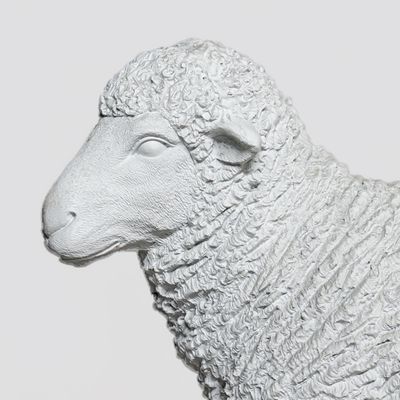46057 Standing Sheep