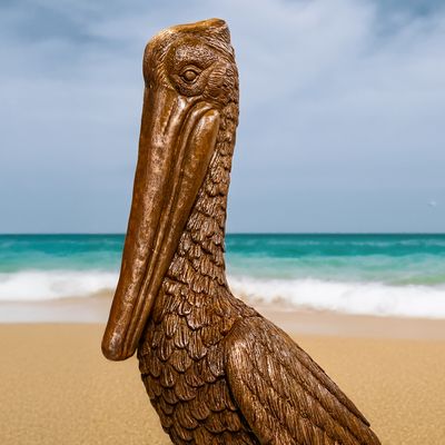 48054 Nags Head Pelican