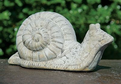 46001 Sm. Snail