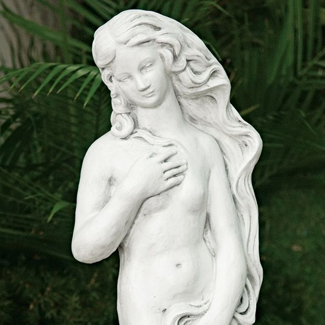 31016 Venus on Half Shell