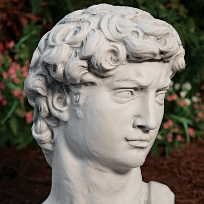31018 David Bust