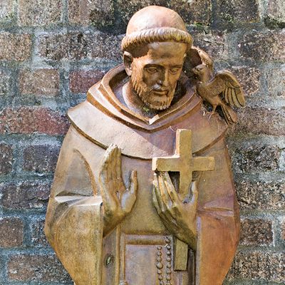 35009 Saint Francis of Assisi