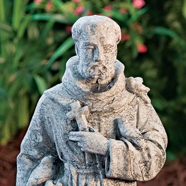 35013 Md. Saint Francis